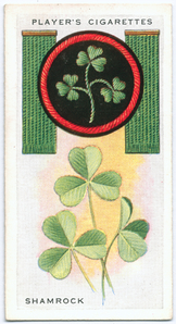 Shamrock. Digital ID: 1135125. New York Public Library