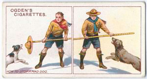 How to stop a mad dog. Digital ID: 1135951. New York Public Library
