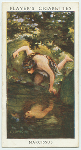Narcissus. Digital ID: 1517905. New York Public Library