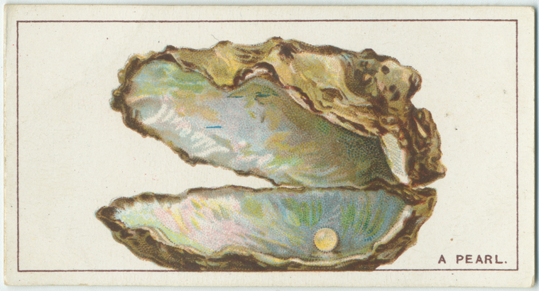 Do you know how pearls are formed?, Digital ID 1519445, New York Public Library