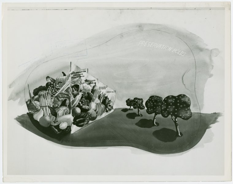 Food - Focal Exhibit - Sketch of display on preservation, Digital ID 1673297, New York Public Library