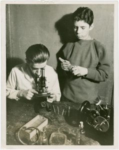 Westinghouse - Boys looking in... Digital ID: 1686299. New York Public Library