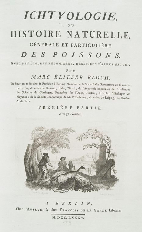 جلد کتاب بلوخ