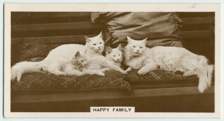 Happy family., Digital ID 411416, New York Public Library