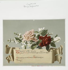  484285. New York Public Library
