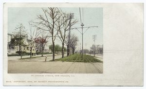 St. Charles Ave., New Orleans,... Digital ID:
                                    62252. New York Public Library