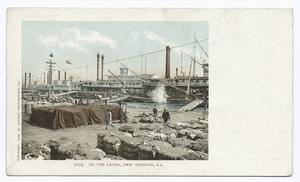 On the Levee, New Orleans, La. Digital ID: 66323.
                                    New York Public Library