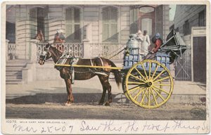 Milk Cart, New Orleans, La. Digital ID: 68724. New York
                                    Public Library