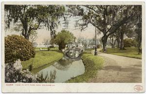 View in City Park, New Orleans... Digital ID:
                           68735. New York Public Library