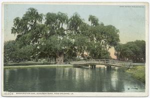 Audubon Park, Washington Oak, ... Digital ID:
                                    68744. New York Public Library