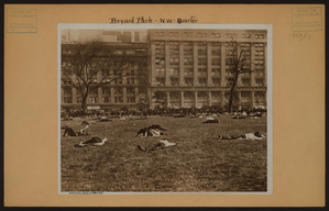  717926F. New York Public Library