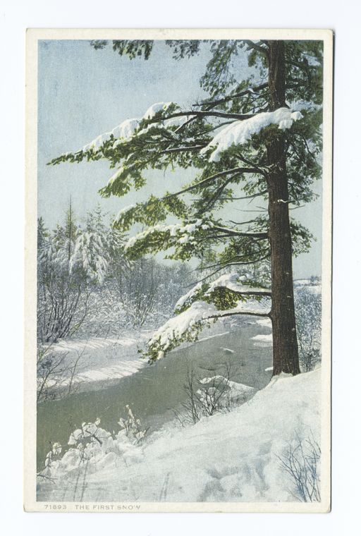 The First Snow, Scenic, Digital ID 74382, New York Public Library