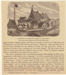 Image ID 800047