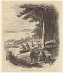 Image ID 800053