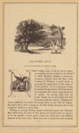 Image ID 800057