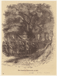 Image ID 800063
