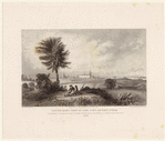 Image ID 800073