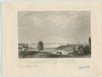 Image ID 800074