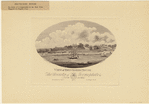 Image ID 800109