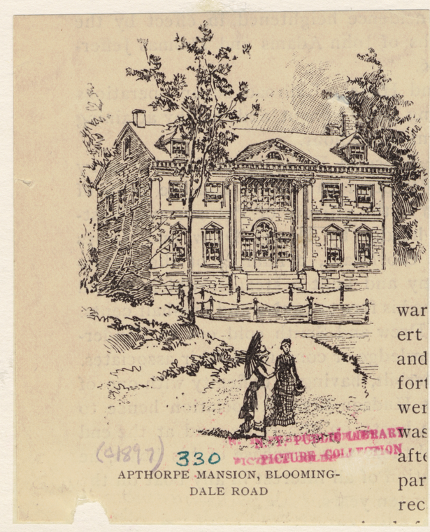 Image ID 800113
