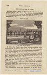 Image ID 800115