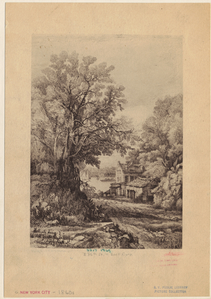 Image ID 800121