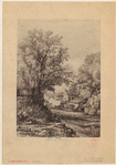 Image ID 800121