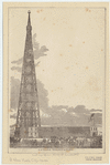 Image ID 800133