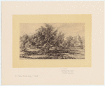 Image ID 800134