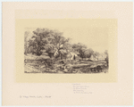 Image ID 800141