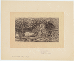 Image ID 800142