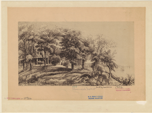 Image ID 800152