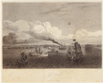 Image ID 800153