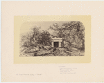 Image ID 800168