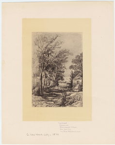 Image ID 800170