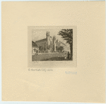 Image ID 800171