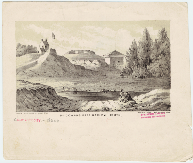 Image ID 800189
