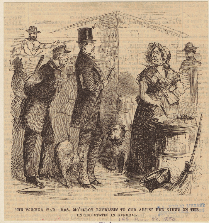 Image ID 800218
