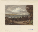 Image ID 800225