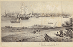 Image ID 800229