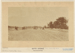 Image ID 800231