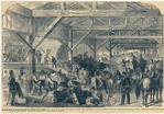 Image ID 800232