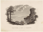Image ID 800234