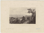 Image ID 800242