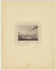 Image ID 800244