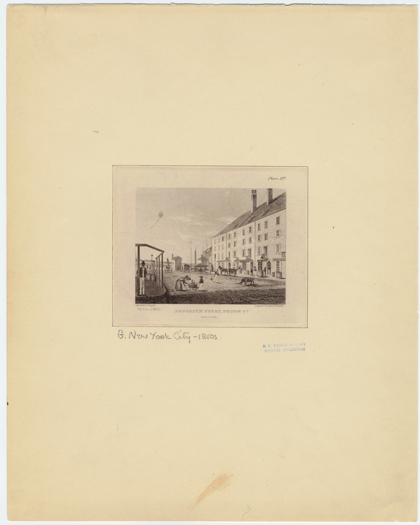 Image ID 800244
