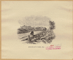 Image ID 800254