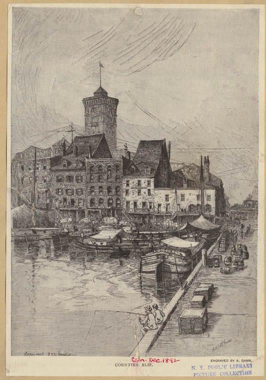 Image ID 800257
