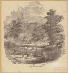 Image ID 800258