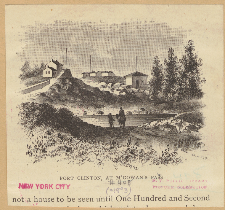 Image ID 800261
